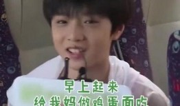 刘耀文家人爆料视频播放,揭秘背后真相